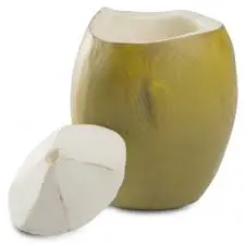 Vaso Coco Loco Resina