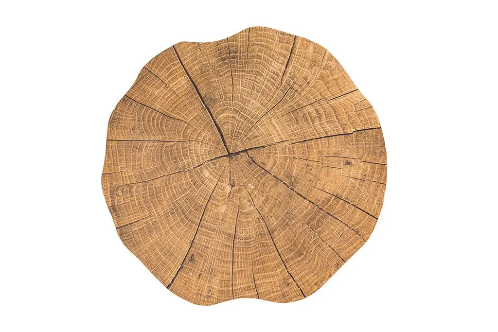 Mantel individual togo Tronco pino 38 cm