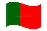 Bandera Portugal Sin Escudo 150x100 cm.                          