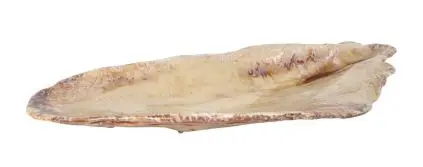 Fuente Mejillon Momi 52X23.5X5.5 Cm.