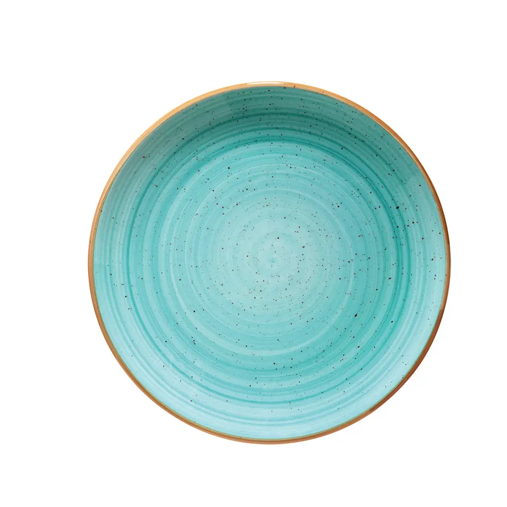 Plato Llano Gourmet Aqua  25 Cm.