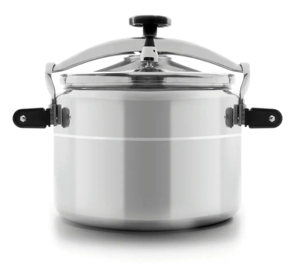 Olla Presion Pro-Classic 22 L.        