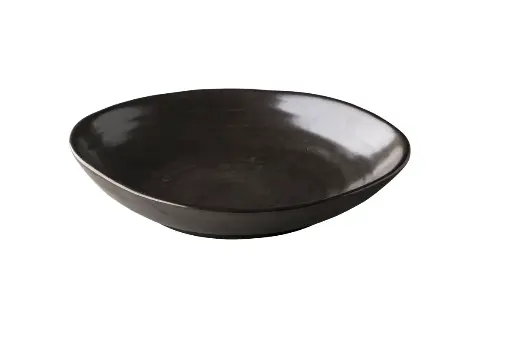 [QR17022] Plato hondo chameleon metálico 24 cm
