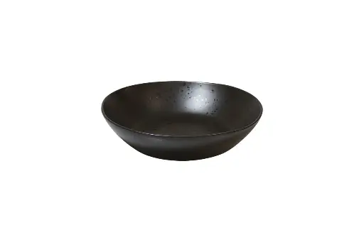 [QU73358] Plato Hondo Q Authentic Speckle Negro 22 Cm.