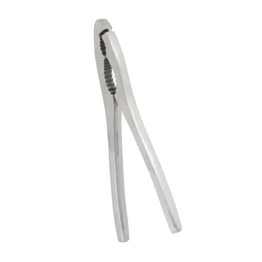 [251047000] Pinza Rompe marisco de acero inoxidable