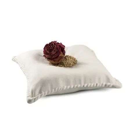 [210/0025] Plato Cojin The Pillow 