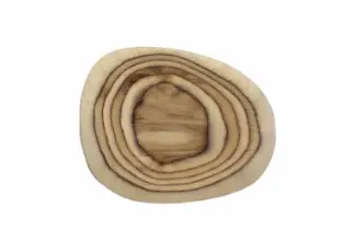 [ORG2320b] DLR Fuente Organic Madera Veins 23x20 cm.