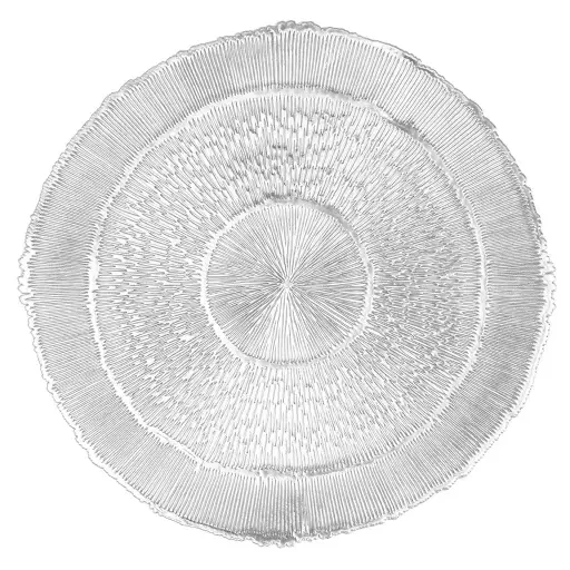 [ZZ0536 SILVER] Mantel individual capellini plata rectangular 45x30 cm