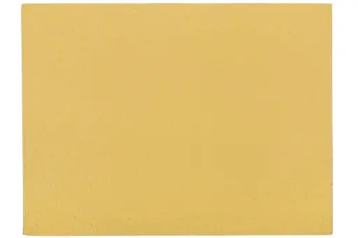 [9302 OCHER] Mantel individual Ostrich Ocre rectangular 45x33 cm