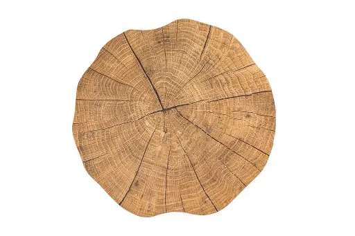 [ZZ0556 WOOD ] Mantel individual togo Tronco pino 38 cm