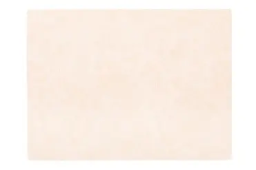 [ZZ0489CREAM] Mantel Individual Troja Crema Rectangular 45X33 Cm.