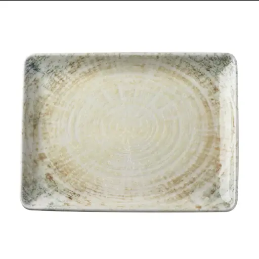 [4742] Fuente rectangular Fosil 23x17 cm