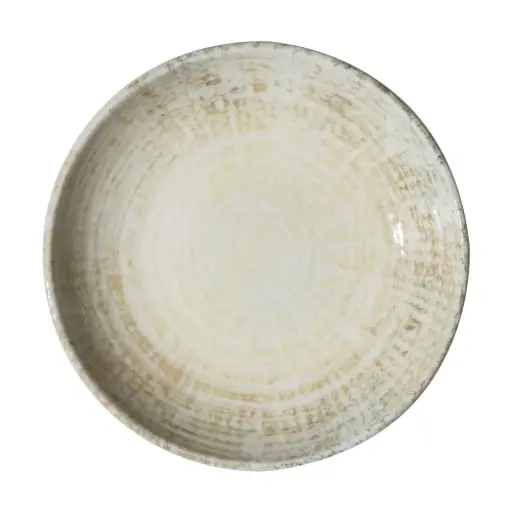 [4739] Plato Hondo Fosil 21 Cm.