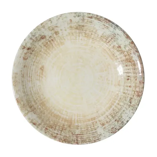 [4736] Plato llano Fosil 21 cm