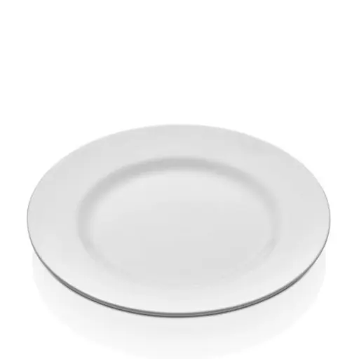 [4615] Plato Llano Melamina Blanco 25 Cm.