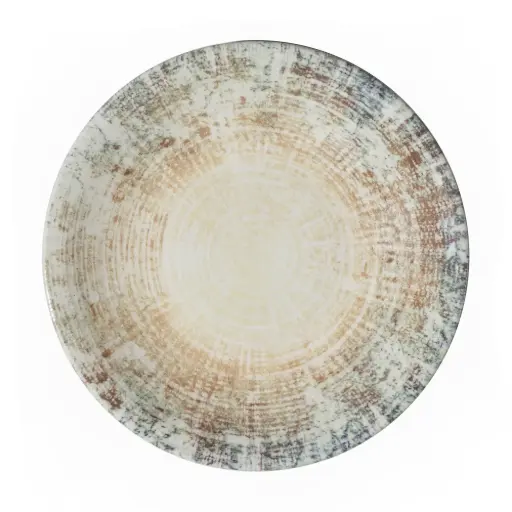 [4753] Plato Presentacion Fosil 30 Cm.