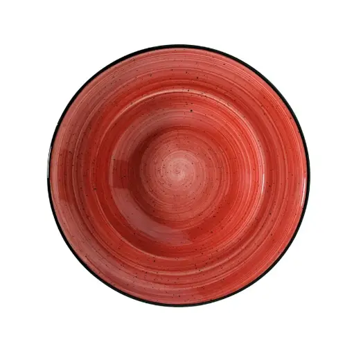 [B928253P] Zz26 Plato Pasta Gourmet Passion  24X5 Cm.