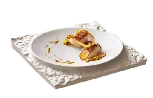 [067001500001] Plato Cuadrado Terra Blanco 26X26 Cm.