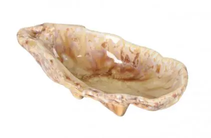 [P1505035] Ostra Momi 13X7X3.5 Cm.