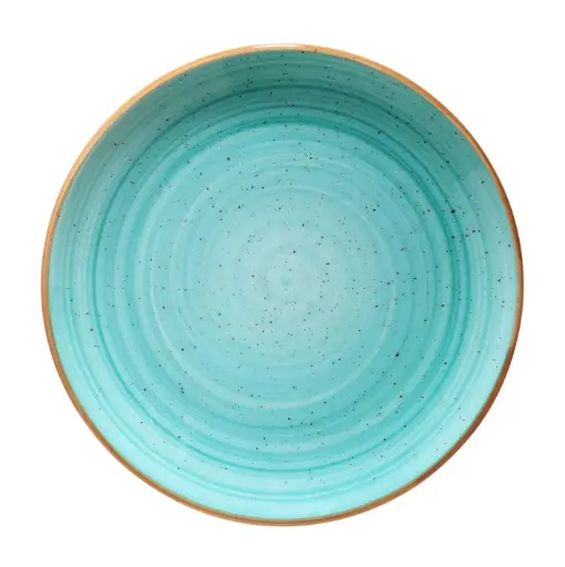 [B928145] Plato Llano Gourmet Aqua  27 Cm.