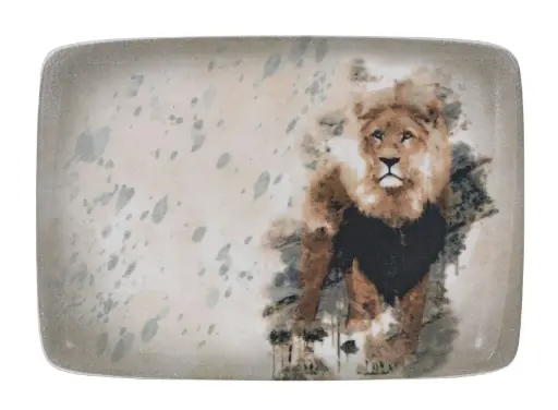 [B928326AH] Fuente rectangular Savanna Leon 29x21 cm