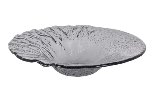 [P605041A] Plato pasta pravia vidrio 24x5,5 cm