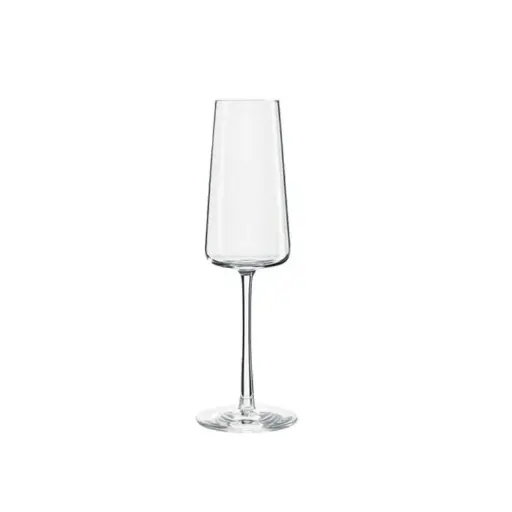 [B657P1590029] Copa champagne power 24 cl