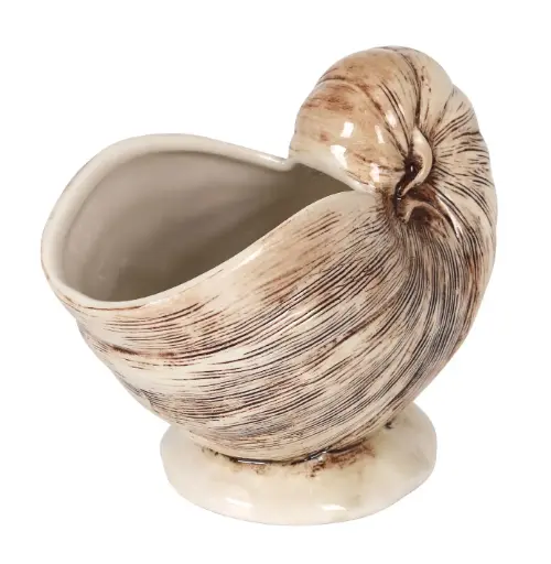 [B1049042] Tiki nautilus 50 cl