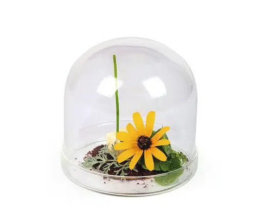 [B803040] Campana Degustacion C/Plato Borosilicato 11X10,5 Cm.
